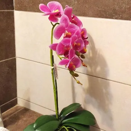 Miriam Luxury Apartament Zakynthos